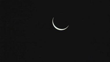 Eid Moon Sighting 2019: ईद के चांद का स्‍टेटस देखने के लिए पाकिस्तान ने बनाई वेबसाइट, pakmoonsighting.pk पर जानें दुनियाभर में कब है ईद