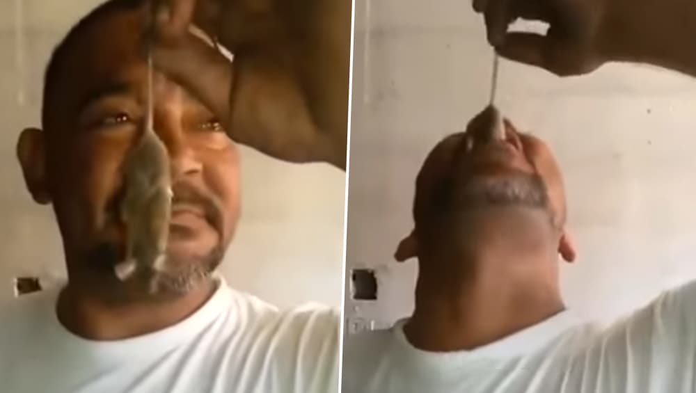 एक बियर बोतल और हाथ में चूहा, इस शख्स ने जो किया उसे देख सिर पीट लेंगे आप: देखें VIDEO एक बियर बोतल और हाथ में चूहा, इस शख्स ने जो किया उसे देख सिर पीट लेंगे आप: देखें VIDEO