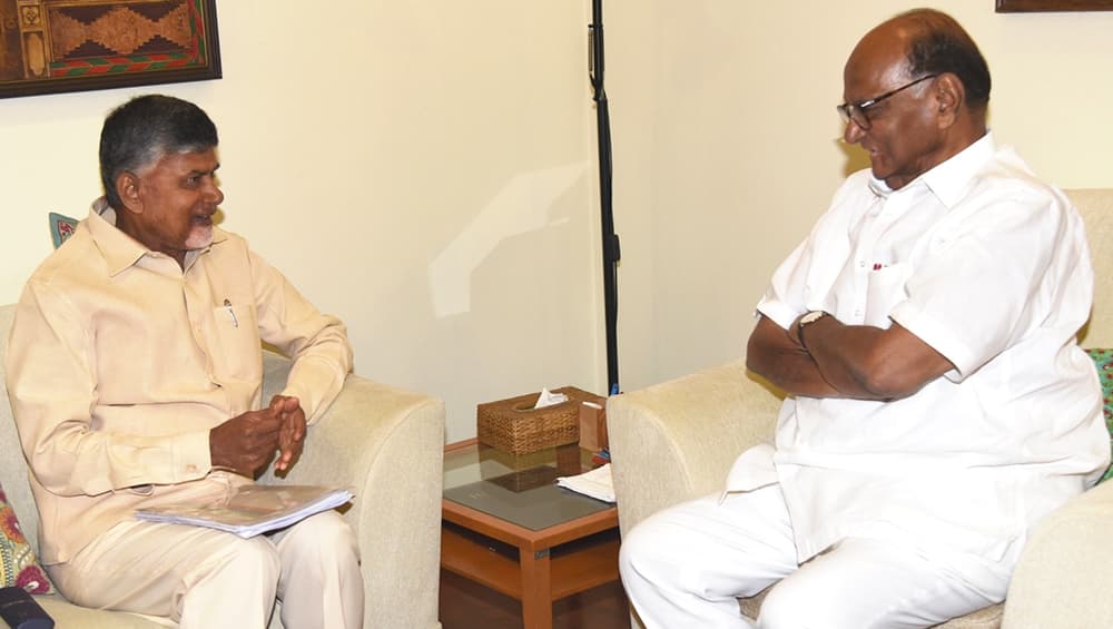 विपक्ष को एक करने के प्रयास में जुटे चंद्रबाबू नायडू को शरद पवार का झटका, कहा- नतीजों के बाद ही मीटिंग विपक्ष को एक करने के प्रयास में जुटे चंद्रबाबू नायडू को शरद पवार का झटका, कहा- नतीजों के बाद ही मीटिंग