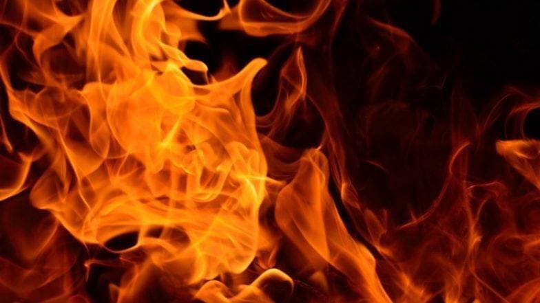 पत्नी ने परोसा कम मटन करी, गुस्से में पति ने जिंदा जलाया