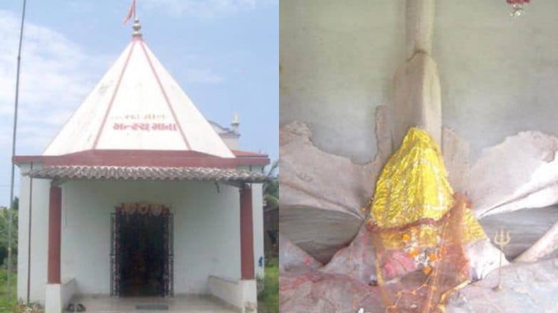गुजरात: मत्स्य माता मंदिर में होती है व्हेल मछली के हड्डियों की पूजा, मछुआरों की आस्था से जुड़ी है यह कहानी गुजरात: मत्स्य माता मंदिर में होती है व्हेल मछली के हड्डियों की पूजा, मछुआरों की आस्था से जुड़ी है यह कहानी