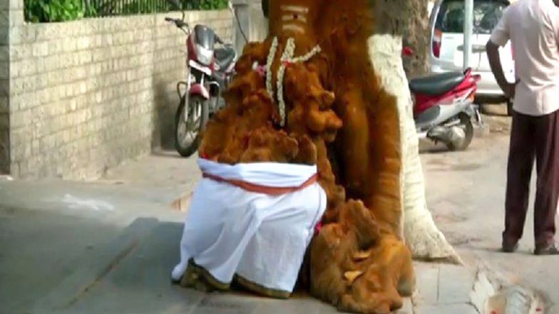 तमिलनाडु: गुलमोहर के पेड़ में उभरी भगवान गणेश की आकृति, लोग कर रहे हैं पूजा