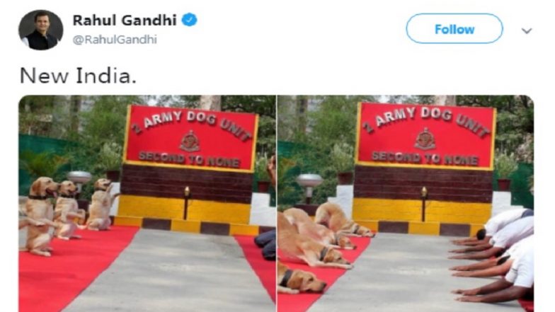 राहुल गांधी ने योग को लेकर किया ट्वीट, बीजेपी नेताओं ने साधा निशाना
