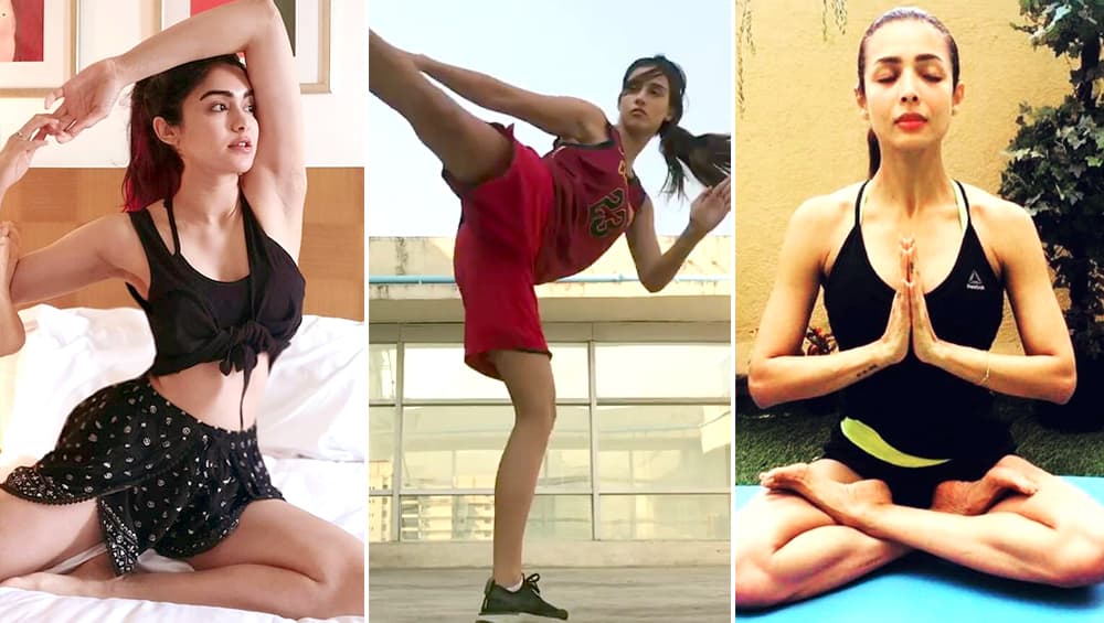 International Yoga Day 2019: बॉलीवुड की इन 5 हॉट एक्ट्रेसेस की फिटनेस में योगा का है बड़ा हाथ, देखें वीडियोज International Yoga Day 2019: बॉलीवुड की इन 5 हॉट एक्ट्रेसेस की फिटनेस में योगा का है बड़ा हाथ, देखें वीडियोज