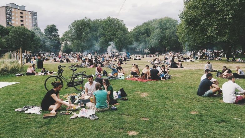 International Picnic Day 2019: दोस्तों और परिवार वालों के साथ समय बिताने का अच्छा मौका होता है पिकनिक, इस दौरान जरूर रखें इन 5 बातों का ख्याल
