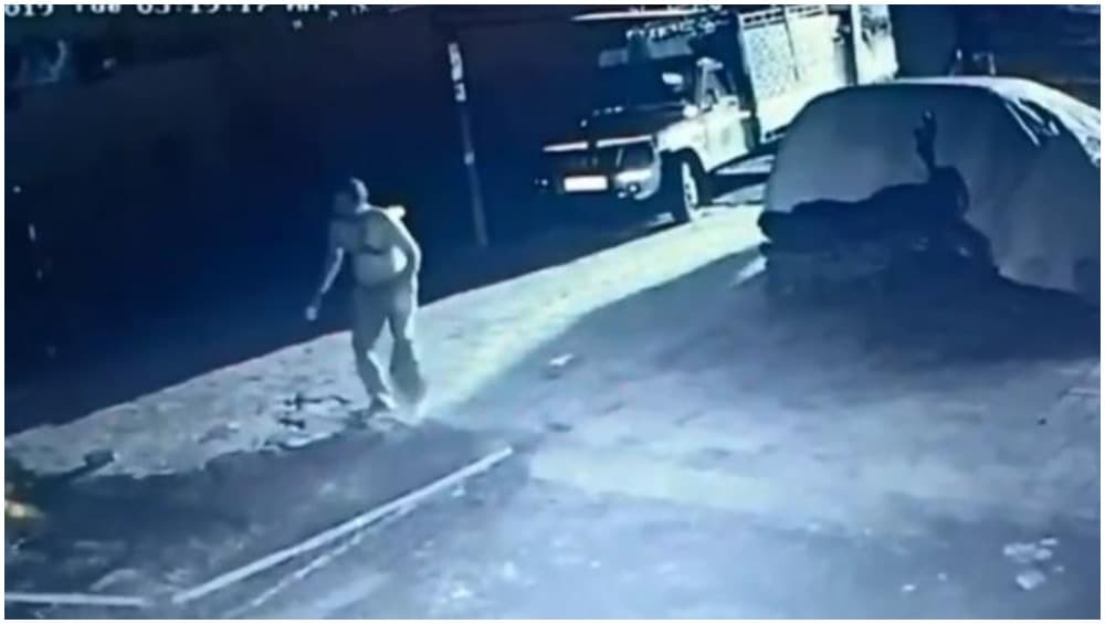 गुजरात: अमरेली के गौशाला में घुसा शेर, गायों की जान बचाने के लिए भिड़ गया ये शख्स, देखें Video गुजरात: अमरेली के गौशाला में घुसा शेर, गायों की जान बचाने के लिए भिड़ गया ये शख्स, देखें Video