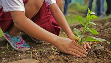 फिलीपींस: पर्यावरण बचाने के लिए सरकार ने लागू किया अनोखा कानून, 10 पेड़ लगाने के बाद ही मिलेगी ग्रेजुएशन की डिग्री