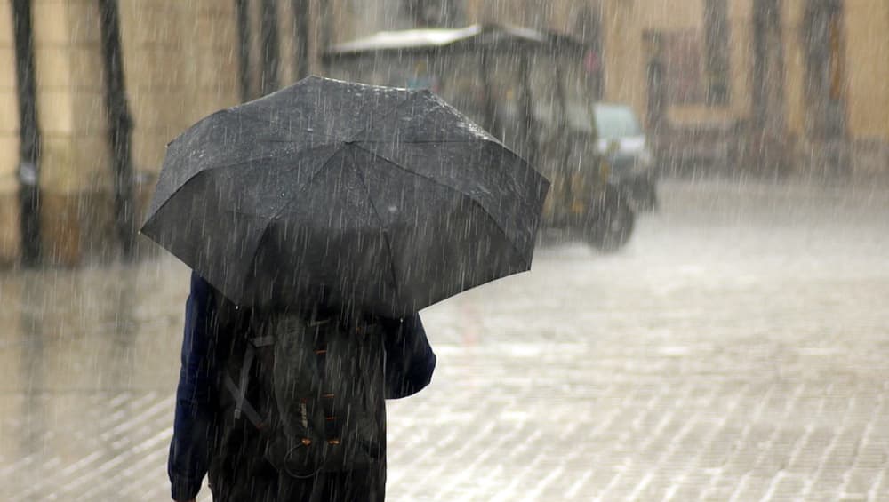 झुलसा देने वाली गर्मी से जल्द मिलेगी राहत, अगले 48 घंटे में दस्तक देगा मानसून!