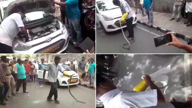 आंध्रप्रदेश: तिरुमला में कार की इंजन से निकला 8 फीट लंबा सांप, देखें Video आंध्रप्रदेश: तिरुमला में कार की इंजन से निकला 8 फीट लंबा सांप, देखें Video