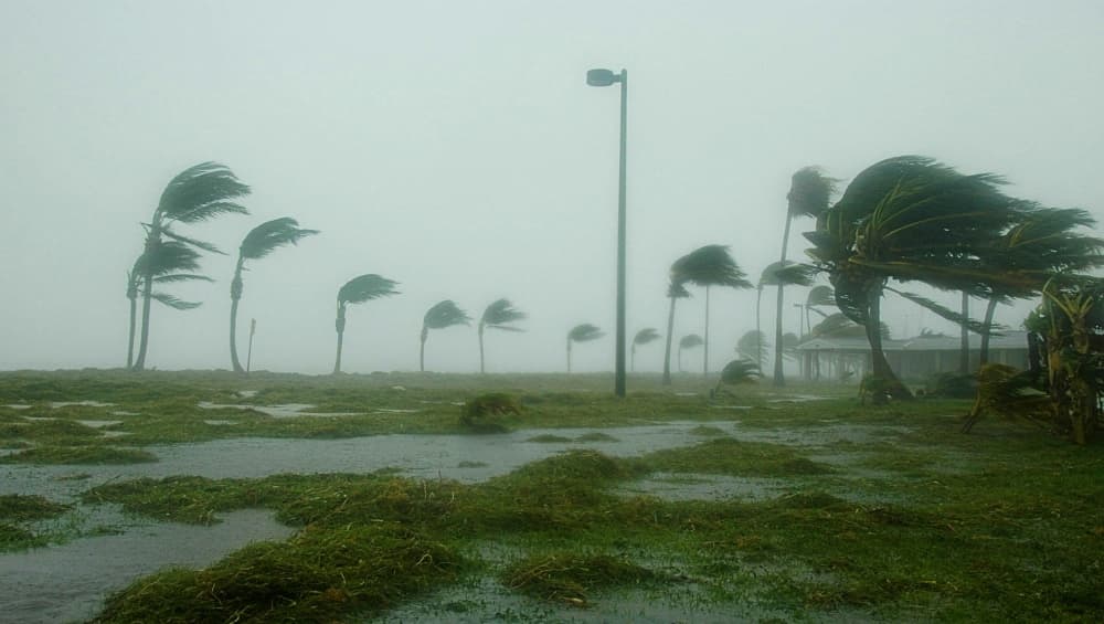 Weather Forecast: यूपी-बिहार समेत कई राज्यों में भारी बारिश का अनुमान, मौसम विभाग ने बताया मानसून का हाल Weather Forecast: यूपी-बिहार समेत कई राज्यों में भारी बारिश का अनुमान, मौसम विभाग ने बताया मानसून का हाल