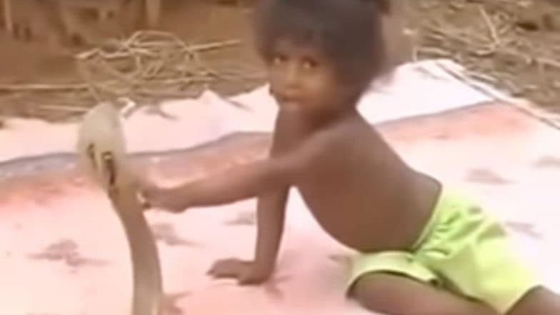 Viral Video: बेखौफ होकर खिलौने की तरह सांप से खेलता है यह बच्चा Viral Video: बेखौफ होकर खिलौने की तरह सांप से खेलता है यह बच्चा