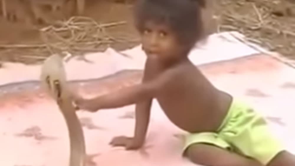 Viral Video: बेखौफ होकर खिलौने की तरह सांप से खेलता है यह बच्चा Viral Video: बेखौफ होकर खिलौने की तरह सांप से खेलता है यह बच्चा