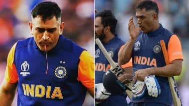 ICC Cricket World Cup 2019: खून निकलने के बावजूद इंग्लैंड के खिलाफ टीम इंडिया को जीत दिलाने का प्रयास कर रहे थे धोनी, सोशल मीडिया पर लोगों ने सराहा