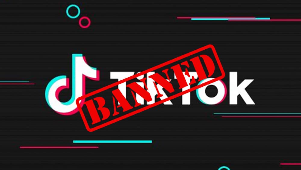 TikTok ने डिलीट किए 60 लाख से ज्यादा आपत्तिजनक वीडियो, केंद्र के एक्शन के बाद उठाया कदम
