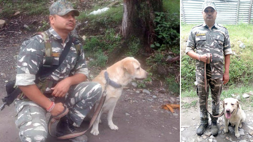 Video: मलबे में दबे इस शख्स के लिए मसीहा बना CRPF का स्निफर डॉग, देखें कैसे बचाई जान