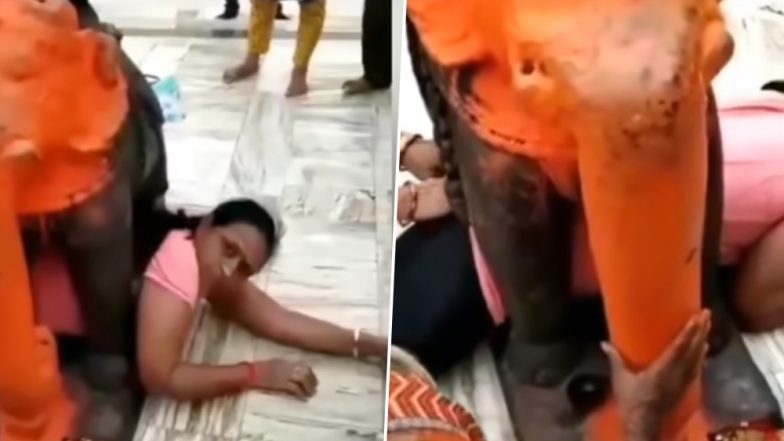 अंधविश्वास के चक्कर में हाथी की मूर्ति के पैरों के बीचोबीच फंसी महिला, हुई सिट्टी पिट्टी गुल, देखें वायरल वीडियो