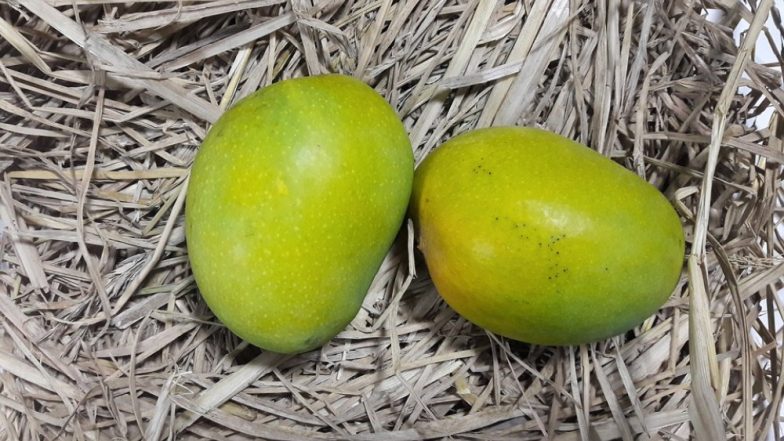 उत्तर प्रदेश: 3 दिवसीय 'मैंगो फूड फेस्टिवल' का आयोजन 19 जुलाई से, उप मुख्यमंत्री दिनेश शर्मा करेंगे उद्घाटन