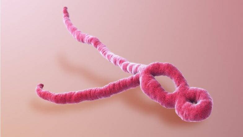 Ebola 2019: कांगो में इबोला वायरस के प्रकोप के बाद WHO ने 'अंतर्राष्ट्रीय चिंता आपातकाल' किया घोषित Ebola 2019: कांगो में इबोला वायरस के प्रकोप के बाद WHO ने 'अंतर्राष्ट्रीय चिंता आपातकाल' किया घोषित