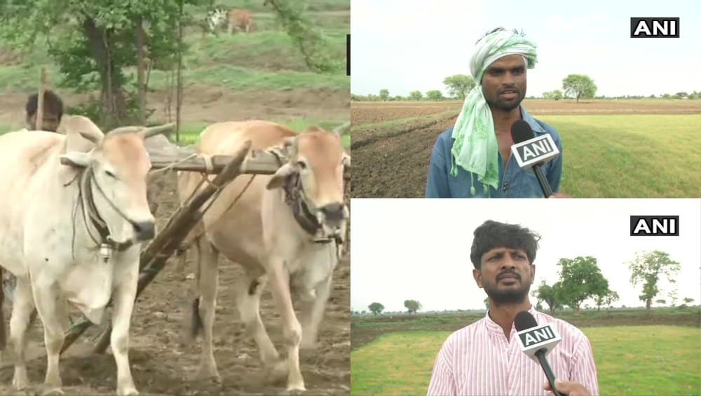 महाराष्ट्र: पूर्वी विदर्भ के किसानों पर पड़ी सूखे की मार, मानसून की बेरूखी ने बढ़ाई धान उत्पादकों की परेशानी महाराष्ट्र: पूर्वी विदर्भ के किसानों पर पड़ी सूखे की मार, मानसून की बेरूखी ने बढ़ाई धान उत्पादकों की परेशानी