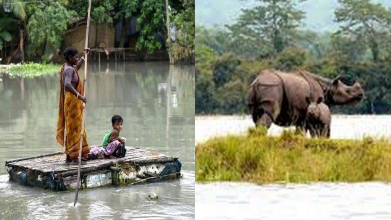 असम में बाढ़ का कहर जारी, मरने वालों की संख्या हुई 68, दो जिलों में फिर घुसा पानी