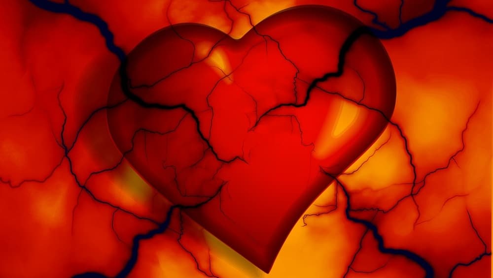 World Heart Day 2019: स्वस्थ जीवन के लिए ऐसे रखें ह्रदय का खास ख्याल क्योंकी ये दिल का मामला है World Heart Day 2019: स्वस्थ जीवन के लिए ऐसे रखें ह्रदय का खास ख्याल क्योंकी ये दिल का मामला है