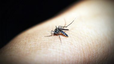 बरसात में मच्छरों के काटने से हो सकती हैं गंभीर बीमारियां, इन 5 घरेलू नुस्खों से पाएं निजात