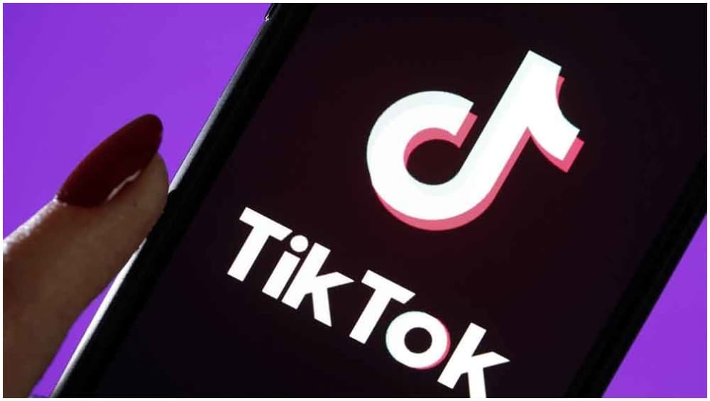 TikTok पर तमिलनाडु सरकार सख्त, चाईनीस ऐप पर चाहती है बैन