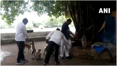 गुजरात कांग्रेस के विधायकों ने बलराम महादेव मंदिर में की पूजा-अर्चना, बंदरों और कुत्तों को खिलाया खाना, देखें Video