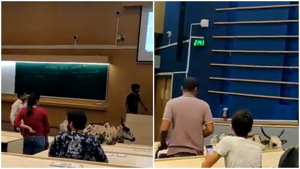 IIT बॉम्बे में चल रहा था लेक्चर, अचानक क्लास में घुस आया आवारा मवेशी, देखें Video IIT बॉम्बे में चल रहा था लेक्चर, अचानक क्लास में घुस आया आवारा मवेशी, देखें Video