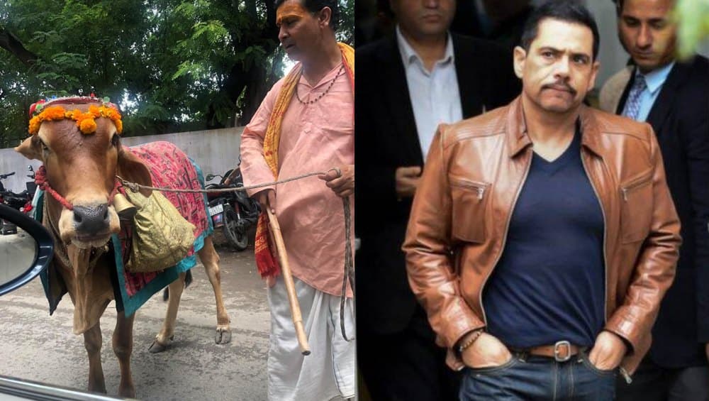 Amazing! भविष्य बताने वाली गाय से मिले रॉबर्ट वाड्रा, मिलते ही बोले- Hello Darling, देखें वायरल वीडियो और तस्वीरें Amazing! भविष्य बताने वाली गाय से मिले रॉबर्ट वाड्रा, मिलते ही बोले- Hello Darling, देखें वायरल वीडियो और तस्वीरें