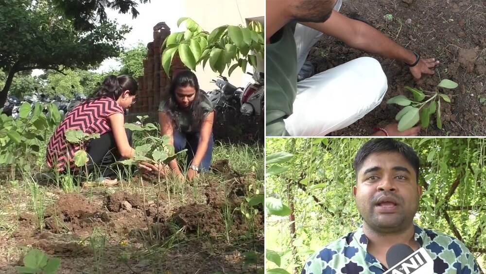 सूरत: गुजरात यूनिवर्सिटी प्रशासन की अनोखी पहल, गलती करने पर स्टूडेंट्स को देते हैं पौधे लगाने की सजा सूरत: गुजरात यूनिवर्सिटी प्रशासन की अनोखी पहल, गलती करने पर स्टूडेंट्स को देते हैं पौधे लगाने की सजा