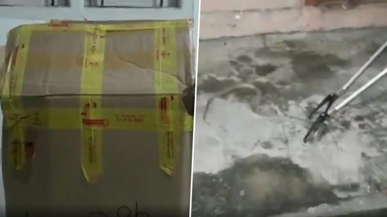 कुरियर से आया पार्सल, खोला तो निकला 4 फुट लंबा जहरीला कोबरा, मचा हड़कंप फिर जो हुआ...देखें Video