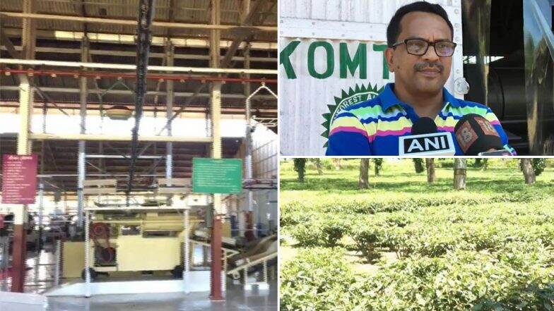 असम में 75 हजार रुपये किलो के भाव नीलाम हुई 'गोल्डन बटरफ्लाई' चाय, डीकॉम टी इस्टेट ने बनाया वर्ल्ड रिकॉर्ड असम में 75 हजार रुपये किलो के भाव नीलाम हुई 'गोल्डन बटरफ्लाई' चाय, डीकॉम टी इस्टेट ने बनाया वर्ल्ड रिकॉर्ड