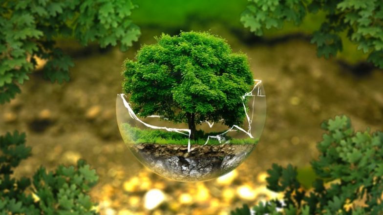 2021 International Young Eco-Hero: मुंबई के किशोर ने पर्यावरण संबंधी परियोजना के लिए जीता अंतरराष्ट्रीय पुरस्कार
