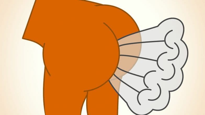 केन्या: असेंबली में सदस्य की पाद से फैली बदबू , 10 मिनट के लिए रोकनी पड़ी कार्यवाही, मंगवाया गया रूम फ्रेशनर केन्या: असेंबली में सदस्य की पाद से फैली बदबू , 10 मिनट के लिए रोकनी पड़ी कार्यवाही, मंगवाया गया रूम फ्रेशनर