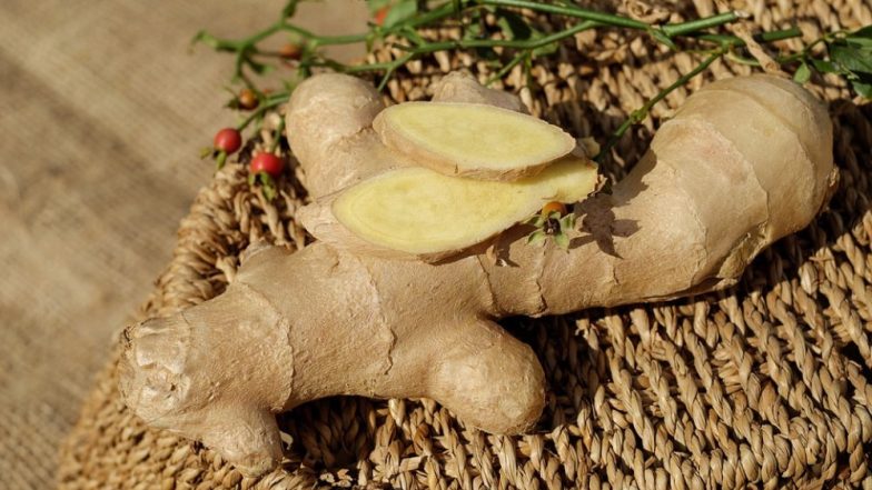 Are You Eating Fake Ginger? बाजार में मिल रहे हैं फेक अदरक, आप भी खा जाएंगे धोखा, नकली और असली में ऐसे करें फर्क