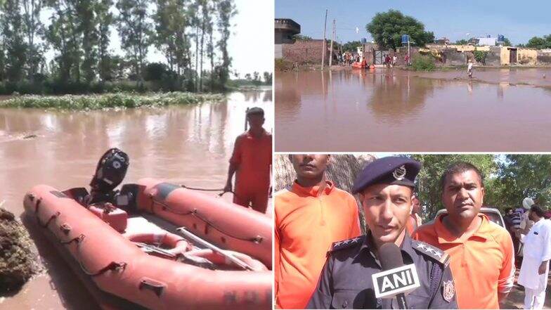 पंजाब-हरियाणा में बाढ़, भारतीय वायु सेना ने 9 लोगों को बचाया पंजाब-हरियाणा में बाढ़, भारतीय वायु सेना ने 9 लोगों को बचाया
