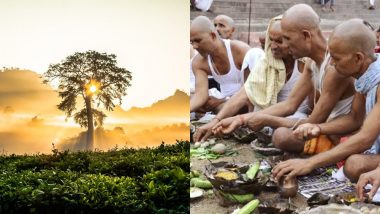 Hariyali Amavasya 2019: सावन अमावस्या पर पितृ पूजा और वृक्षारोपण का है बहुत महत्व, 125 साल बाद बना पंचयोग का यह खास संयोग