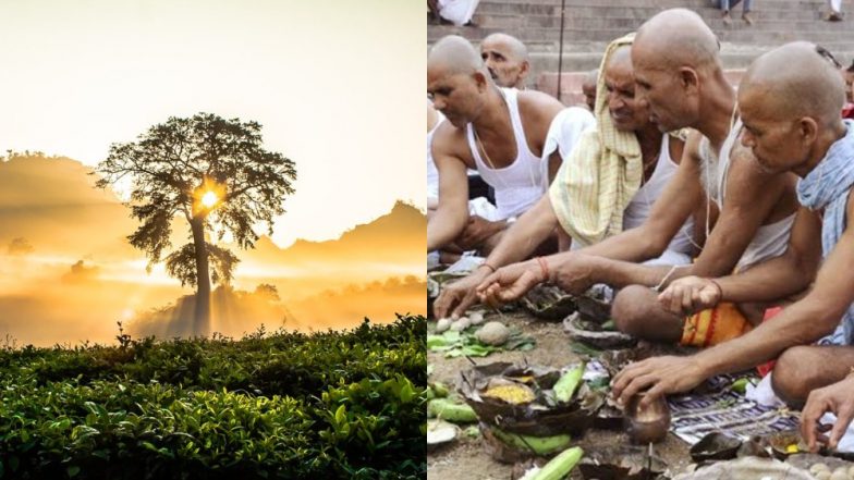 Hariyali Amavasya 2019: सावन अमावस्या पर पितृ पूजा और वृक्षारोपण का है बहुत महत्व, 125 साल बाद बना पंचयोग का यह खास संयोग