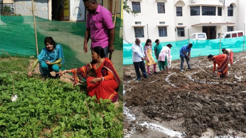 झारखंड में ग्रामीण महिलाएं 'किचन गार्डन' से दूर कर रही हैं कुपोषण की समस्या, अस्पतालों और स्कूलों में की जा रही है इस योजना की शुरुआत