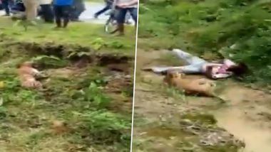 पश्चिम बंगाल: जख्मी तेंदुए का शख्स को फोटो लेना पड़ा महंगा, गुस्साए जानवर ने कर दिया हमला, देखें वीडियो