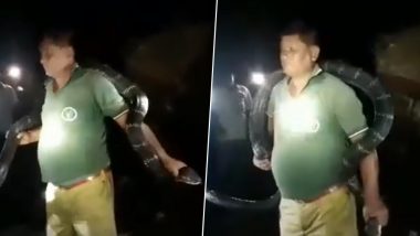 Watch Video: पश्चिम बंगाल में फॉरेस्ट गार्ड ने किंग कोबरा को गले में डालकर बनाया वीडियो, प्रशासन ने दिए जांच के आदेश