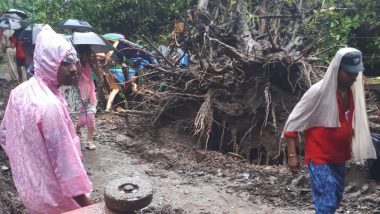 बिहार: भागलपुर में दीवार गिरने से तीन की मौत, वहीं पटना में पेड़ गिरने से चार ने गवाई जान