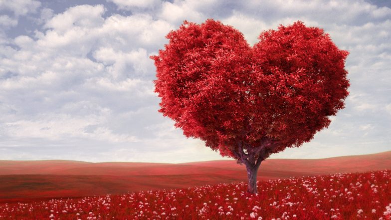 World Heart Day 2019: दिल की फिटनेस बेहद जरुरी, आयुर्वेद से हार्ट की बिमारियों को रखें दूर