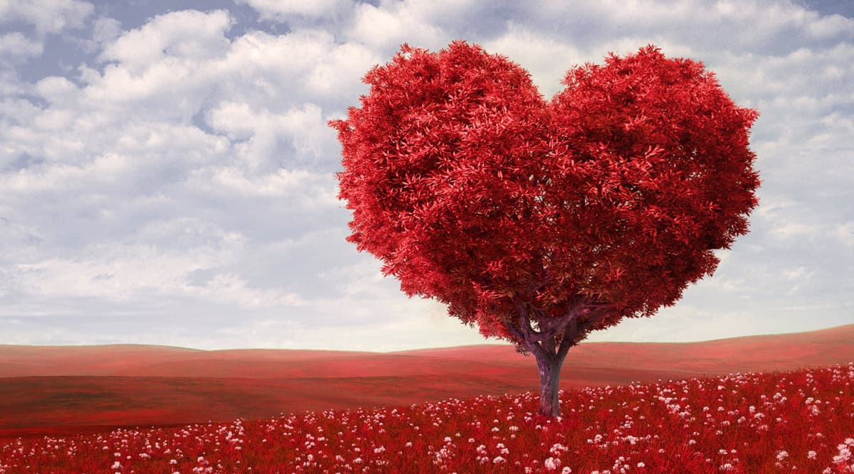 World Heart Day 2019: दिल की फिटनेस बेहद जरुरी, आयुर्वेद से हार्ट की बिमारियों को रखें दूर World Heart Day 2019: दिल की फिटनेस बेहद जरुरी, आयुर्वेद से हार्ट की बिमारियों को रखें दूर