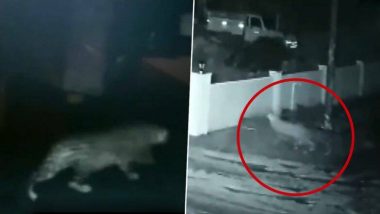 कर्नाटक में दीवार फांदकर घर में घुसा तेंदुआ, कुत्ते को बनाया शिकार, देखें वीडियो