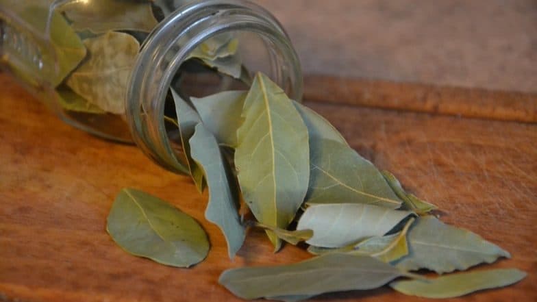 तेजपत्ता सिर्फ एक मसाला ही नहीं, बल्कि इसमें छुपा है सेहत का खजाना, जानें इसके कमाल के फायदे तेजपत्ता सिर्फ एक मसाला ही नहीं, बल्कि इसमें छुपा है सेहत का खजाना, जानें इसके कमाल के फायदे