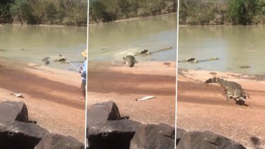 ऑस्ट्रेलिया: मछली पकड़ रही थी महिला, भूखा मगरमच्छ पड़ गया पीछे, देखें वायरल वीडियो