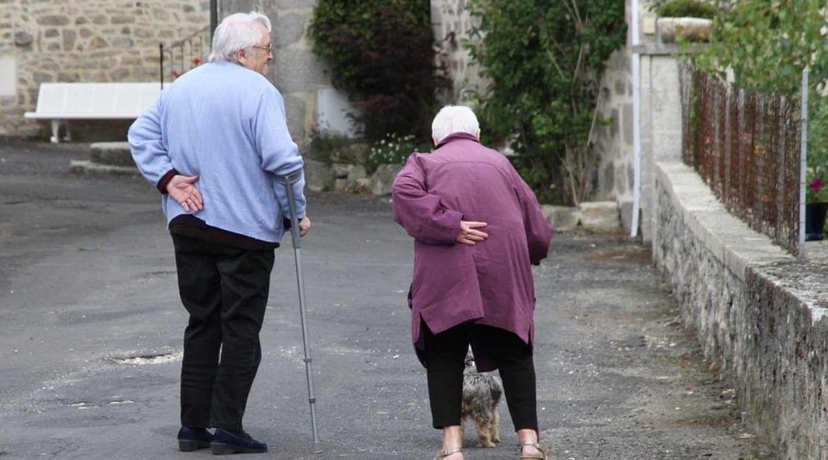 International Day for Older Persons 2019: वरिष्ठ नागरिकों के सम्मान का दिन है अंतरराष्ट्रीय वृद्ध दिवस, परिवार के बुजुर्गों से जताएं प्यार, न करें उनकी अनदेखी International Day for Older Persons 2019: वरिष्ठ नागरिकों के सम्मान का दिन है अंतरराष्ट्रीय वृद्ध दिवस, परिवार के बुजुर्गों से जताएं प्यार, न करें उनकी अनदेखी