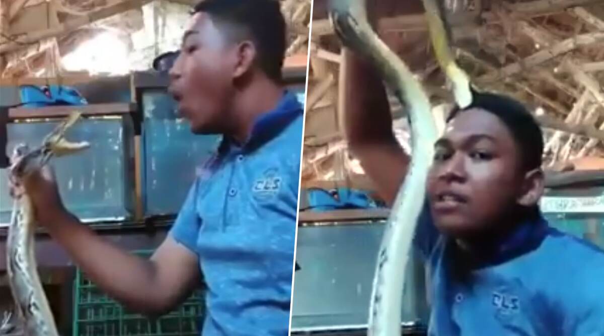 शख्स सांप के साथ कर रहा था मस्ती, अजगर को आया गुस्सा, उसके बाद जो हुआ..देखें वायरल वीडियो शख्स सांप के साथ कर रहा था मस्ती, अजगर को आया गुस्सा, उसके बाद जो हुआ..देखें वायरल वीडियो